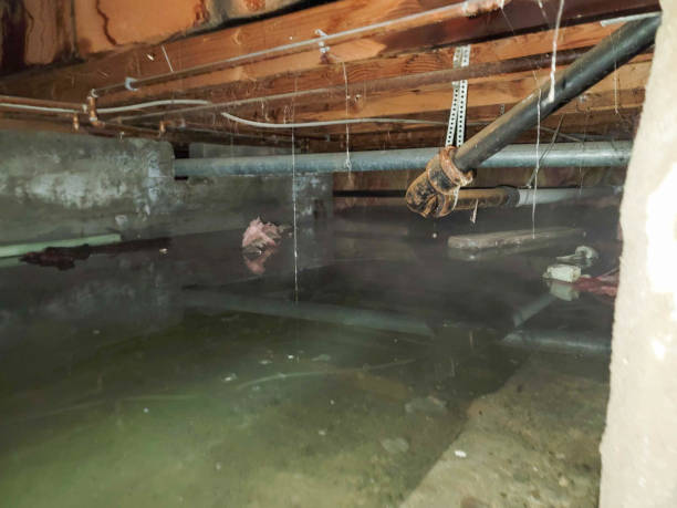 Best 24/7 water damage repair  in Yuipa, CA