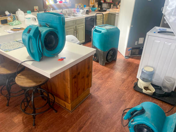 Best Sewage cleanup and water damage restoration  in Yuipa, CA