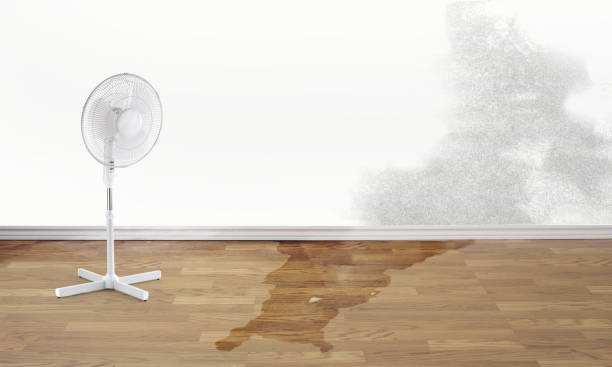 Best Water damage contractors near me  in Yuipa, CA