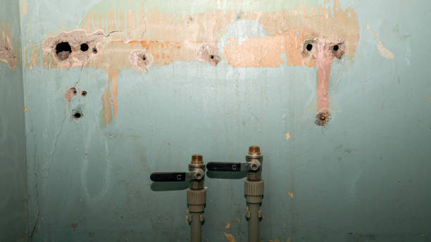 Best Flooded house restoration  in Yuipa, CA