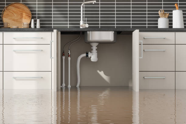 Best Local water damage restoration  in Yuipa, CA