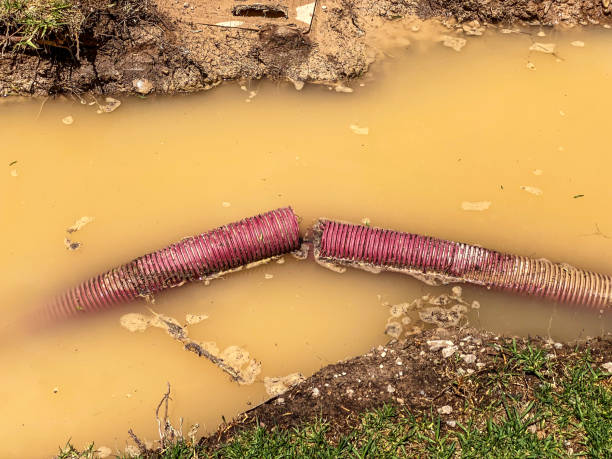 Best Flood restoration services  in Yuipa, CA