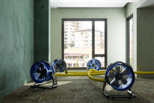  Yuipa, CA Water damage restoration Pros