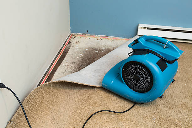 Best Flood damage cleanup  in Yuipa, CA